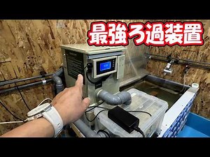 The ultimate homemade filtration system combining drum and fluidized bed filtration is complete.