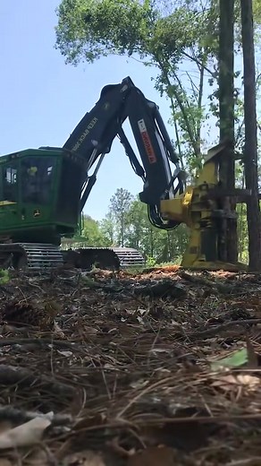 #treecutting #treeremoval #stihl #femalearborist #holzfäller #Holzfäller #chainsaw #holzhacken #holzbearbeitung #holzarbeiten #wildfire #loggi #arborist | Alexis