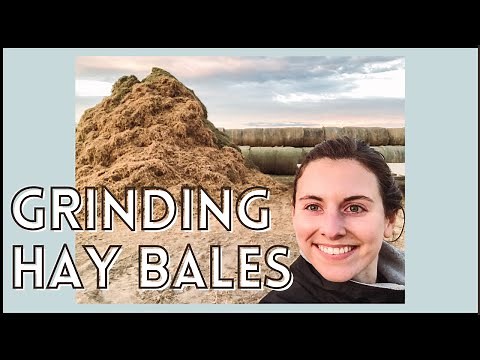 GRINDING HAY BALES FOR THE COWS
