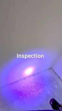 How to Remove Dog Urine Smell from Concrete. Part 1 Inspection- PREP #anyhousecleaning #odorcontrol