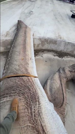 Abandoned Dino Park 😱🦖🦕 #lostplace #lostplaces #dino #abandonedplaces #urbex #nrw #dinosaur