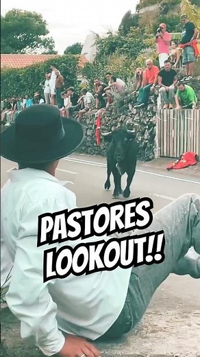 Traditional Tourada á Corda- Street Bullfight on Terceira Island- #Azores