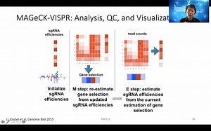 CRISPR Screen 面临的挑站