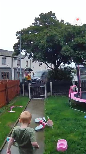 81K views · 2K reactions | He asked a stranger to come inside and no one expected what this six-year-old would do next  | Sharing is Caring | Facebook