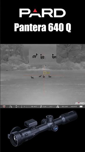 Pard Pantera 640 Q