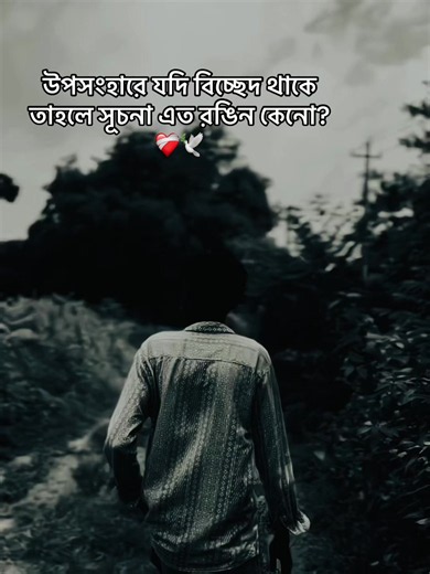উপসংহারে যদি বিচ্ছেদ থাকে তাহলে সূচনা এত রঙিন কেনো? — বাংলা ক্যাপশন আইডিয়া