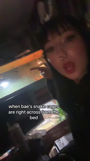 #fyp #snake #boaconstrictor #ballpython | snakes