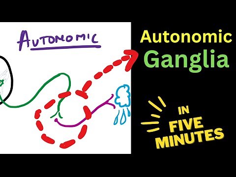AUTONOMIC ganglia | In FIVE Minutes