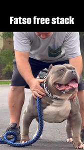 205 reactions · 51 shares | Free stack | Antonio Soto | Facebook