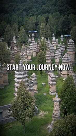 [Free Introduction Series by Shaolin Temple Europe] Secure your spot now!