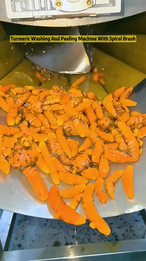 5.1K views | Ginger Turmeric Washing and Peeling Machine #turmericmachine #turmericprocessing #foodprocessingmachine #spiceprocessing #peelingmachine #washingmachine #agriculturetechnology #industrialmachinery WhatsApp：+8615238368892 Email：info@haverymachinery.com | Zhengzhou Havery Machinery Technology Co., Ltd. | Facebook