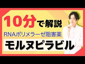 新型コロナウイルス治療薬 モルヌピラビル を薬剤師が解説