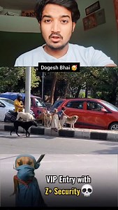 16K views · 56K reactions | Z++ Security With Dogesh #dog #Security #Guard #technology #DesiJugaad #DesiTadka #Technologiaaaa #amarunkumar #vip | Hoshiyar Bano | Facebook