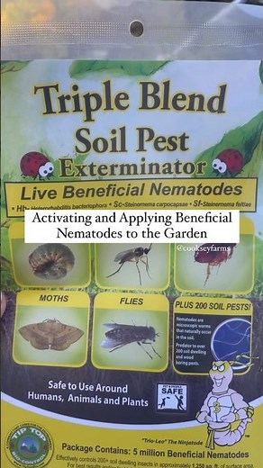 Activating and Applying Beneficial Nematodes to the Garden