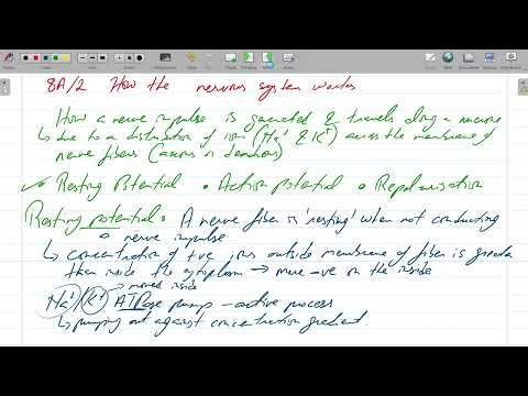 A2 Biology - Cambridge/ AQA/ Edexcel - Session 2025-26 - Class # 12