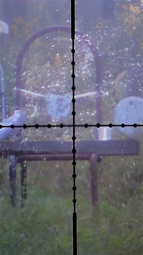 Cups of water exploding #airgun #pcphunters #airgunlife #airgunshooting #airgunworld #airgunshooter