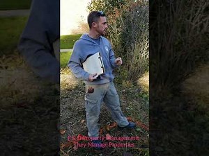 The Water Is Backed Up. Stormwater Detention Pond Maintenance.