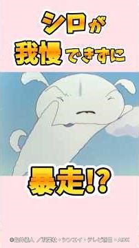 【衝撃】シロが我慢できずに暴走！？『シロはおなかがペコペコだゾ』 #野原しんのすけ #野原みさえ #野原ひろし #野原ひまわり #爆笑