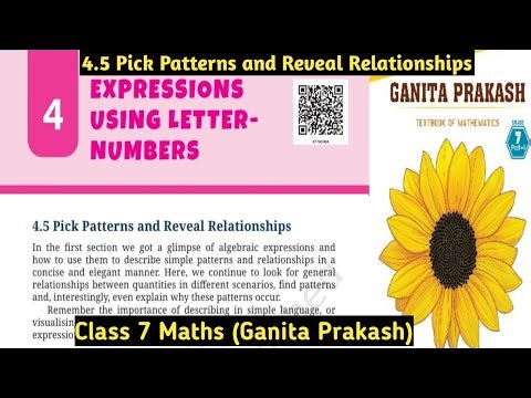 Class 7 Maths NCERT | Ganita Prakash | Chapter 4 | Expressions Using Letter-Numbers | Exercise 4.5