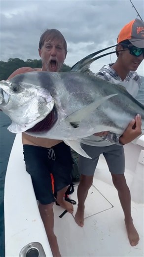 Biggest top water Rooster fish shot of all time ? #roosterfishing #panamafishing #topwaterfishing