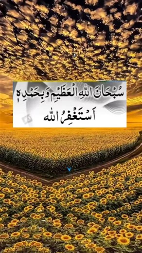 Understanding Islamic Symbols and Meanings