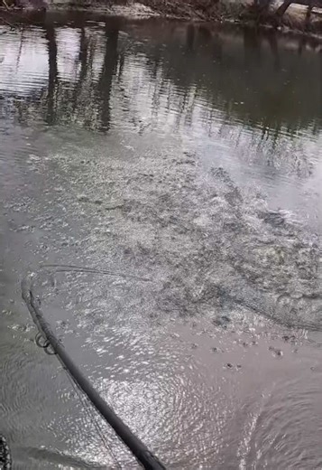 Musky Fishing Adventure: Catching the Big One