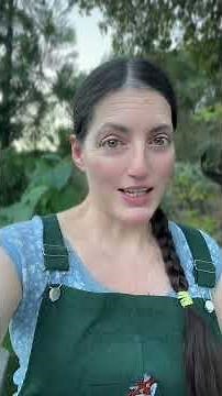 Hobbit Day is coming! 🌻🥳🍞