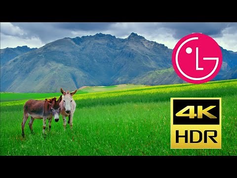 Fresh 4K (60 fps) - LG Demo UHD TV