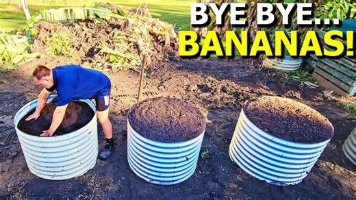 From banana jungle to beautiful raised beds: My garden makeover journey!
