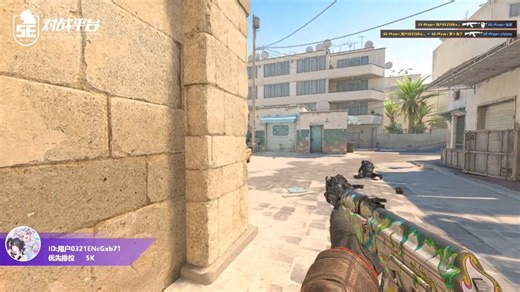 保枪为啥该要来抓我？