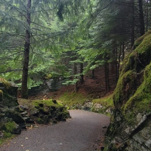 Beth Shephard on Reels | Facebook