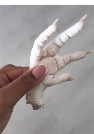 Funny Reaction to Chicken Foot Drop