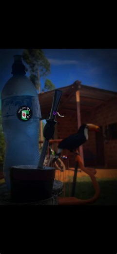 TM😌🎶...#temass🎶 #paratiiiii ( @Naldoo )👈🏻Cuenta Nueva, Sigan😻❤.