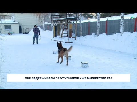 Они задерживали преступников уже множество раз