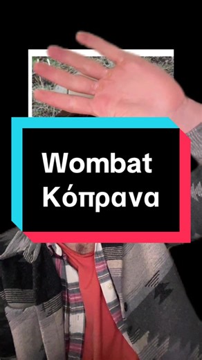 #βιολογια #wombat #ζωα #επιστημη #χριστουγεννα