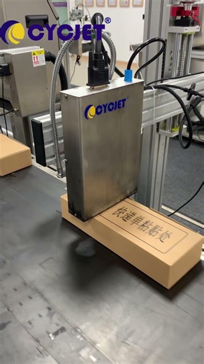 High-resolution Carton Inkjet Coding | Clear Date & Batch Printing on Boxes #packagingprinting