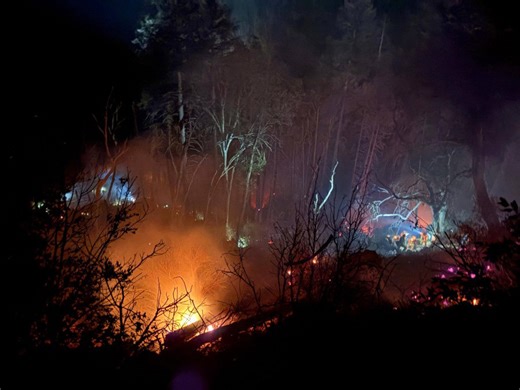 Cal Fire crews contain vegetation fire in Pollock Pines