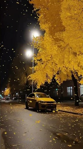 There's something magical about autumn nights 🍂