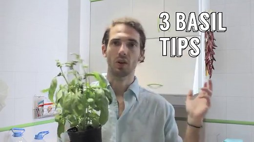 Tomato Mozzarella Bread (10 Min, Vegetarian) - Hurry The Food Up