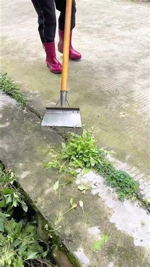 Efficient Multi-Surface Scraping Tool for Impeccable Outdoor Maintenance