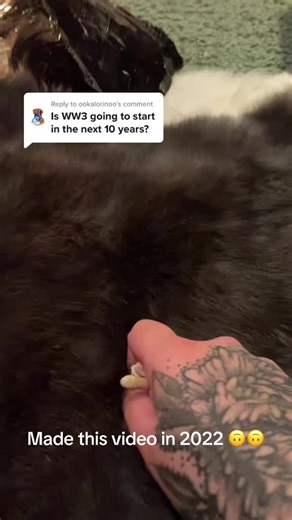 Exploring Osteomancy in Eclectic Witchcraft