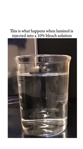 BRAIN BOLT on Instagram: "When luminol is introduced into a 10% bleach solution, a striking blue glow appears instantly, and this reaction is one of the most famous demonstrations of chemiluminescence. Luminol is a chemical compound that emits light when it undergoes oxidation. In this case, the bleach provides sodium hypochlorite, a strong oxidizing agent, which reacts with luminol in the presence of a basic environment. As the luminol molecules are oxidized, they enter an excited energy state,