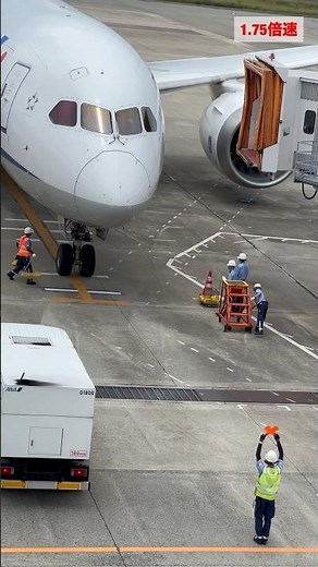 飛行機好きが一度は憧れる？マーシャラー　#グランドハンドリング #松山空港 #matsuyama #ana #airplane #飛行機　今日ちょうど無人トーイングトラクターのニュースを見ました…