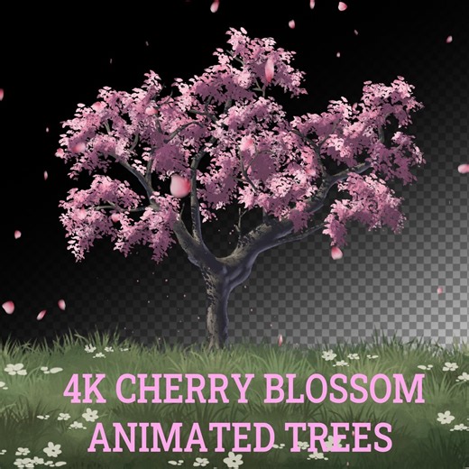 4K Animated Cherry Blossom Tree Bundle - 5 Looped Sakura Tree Videos (transparent) - Etsy