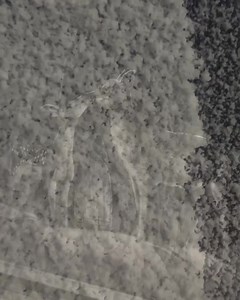 139K views · 8.5K reactions | Mum and baby deer | Snow Windows | Facebook