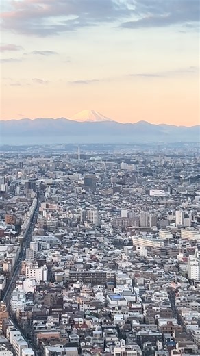 床嶋佳子 Yoshiko Tokoshima on Instagram: "あけましておめでとう御座います‼️ 本年もどうぞ宜しくお願い致します。 皆様にとって良い年になりますように‼️"