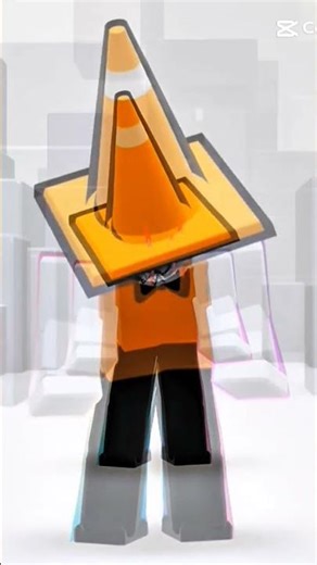 all about coneflows now