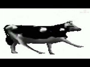 Dancing Polish Cow 10 Hours