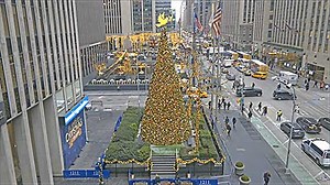 FOX Square Live Cam, NY