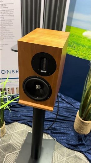 ProAc DB1R loudspeakers #highendaudio #audiophile